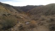 Big Morongo Canyon