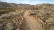 Big Morongo Canyon